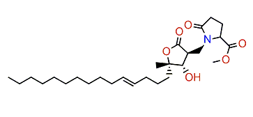 Amphiasterin E1